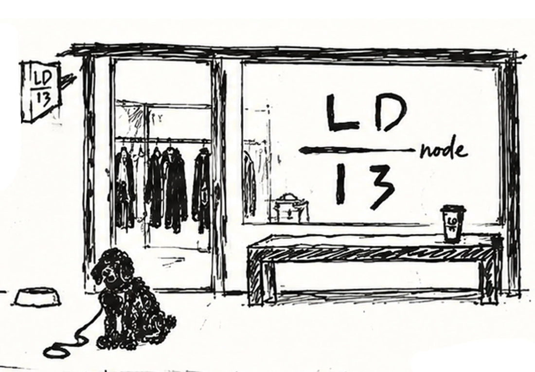 LD-13 NODE