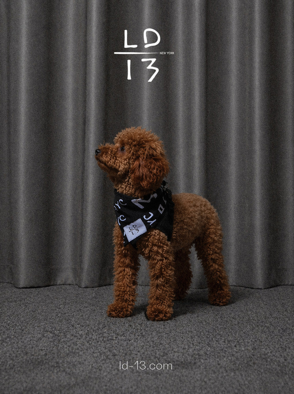 LD-13 dog bandana